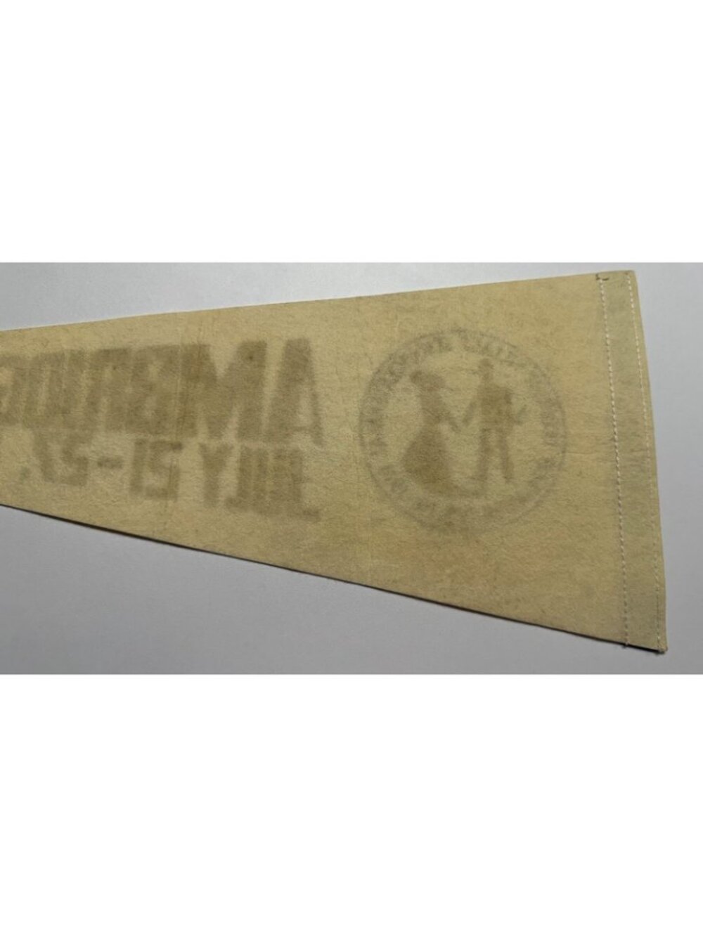 Vintage Ambridge Sesquicentennial July 21-27, 1974 pennant - Picture 5 of 7